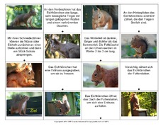 Eichhörnchen-Lese-Domino-2.pdf